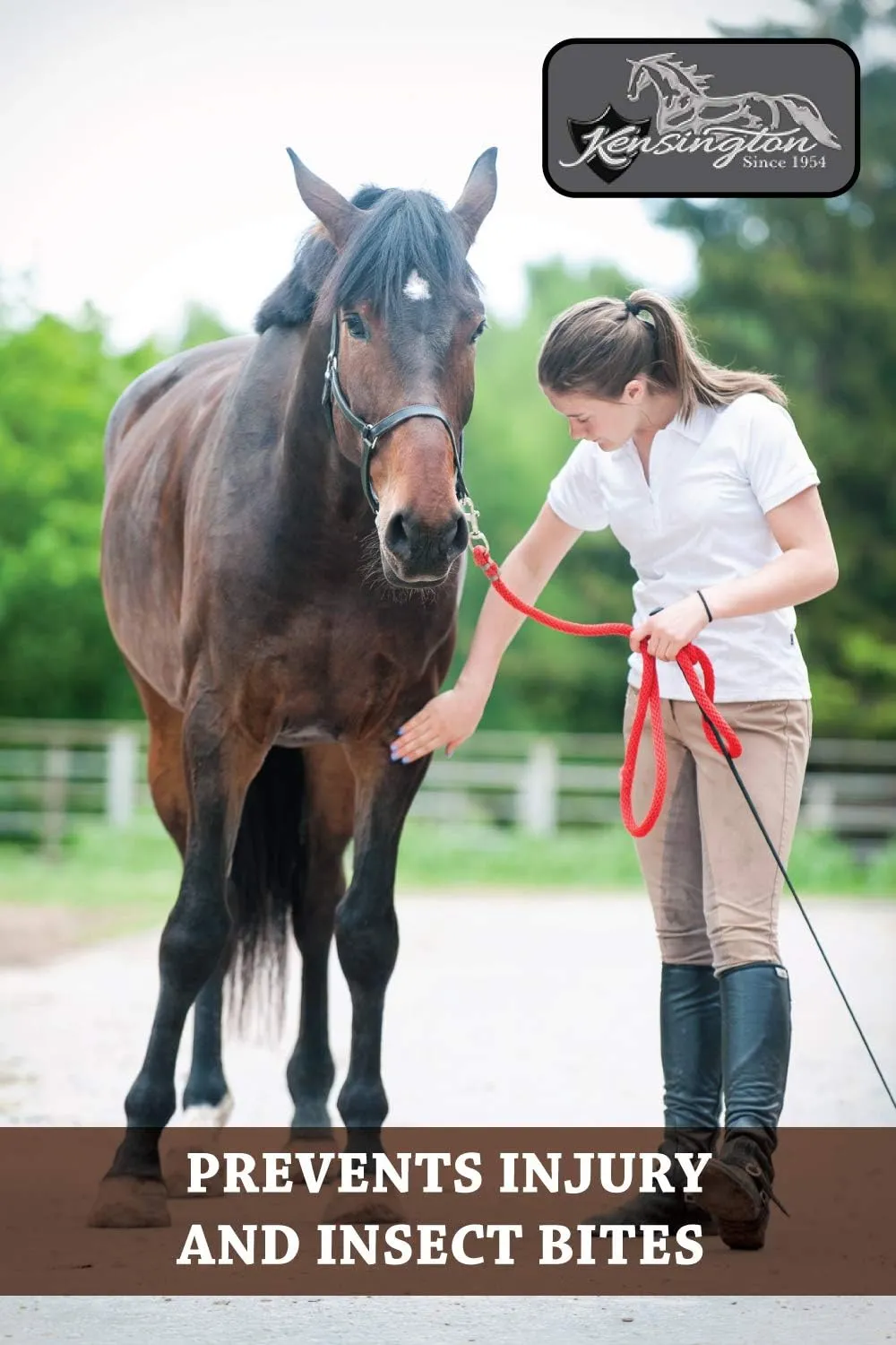 Kensington Protective Products Horse Fly Boots - Fleece Trimmed - Stay-Up Technology - Protection from Insect Bites and UV Rays - Sold in Pairs (2 Boots)